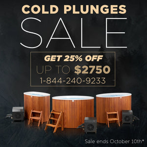 Scandinavian Hybrid Cold Plunge & Wood-Fired Spa