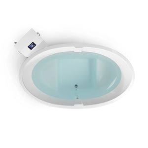 Scandinavian Premium Cold Plunge With Water Chiller (1-2 People)