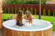 Scandinavian Small Circular Wood-Fired Hot Tub (2-4 People)