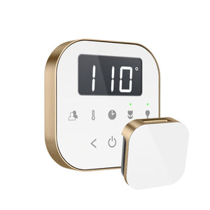Mr Steam AirTempo Steam Shower Controller