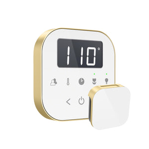Mr Steam AirTempo Steam Shower Controller